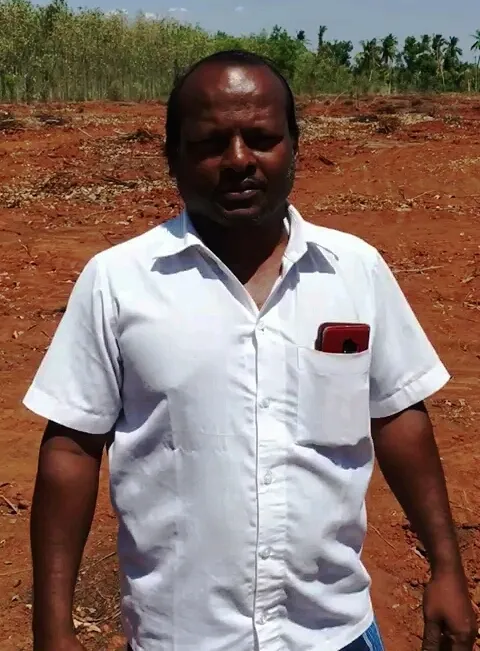 cut down the entire  Eucalyptus trees in pudukottai;compliment to the farmer 